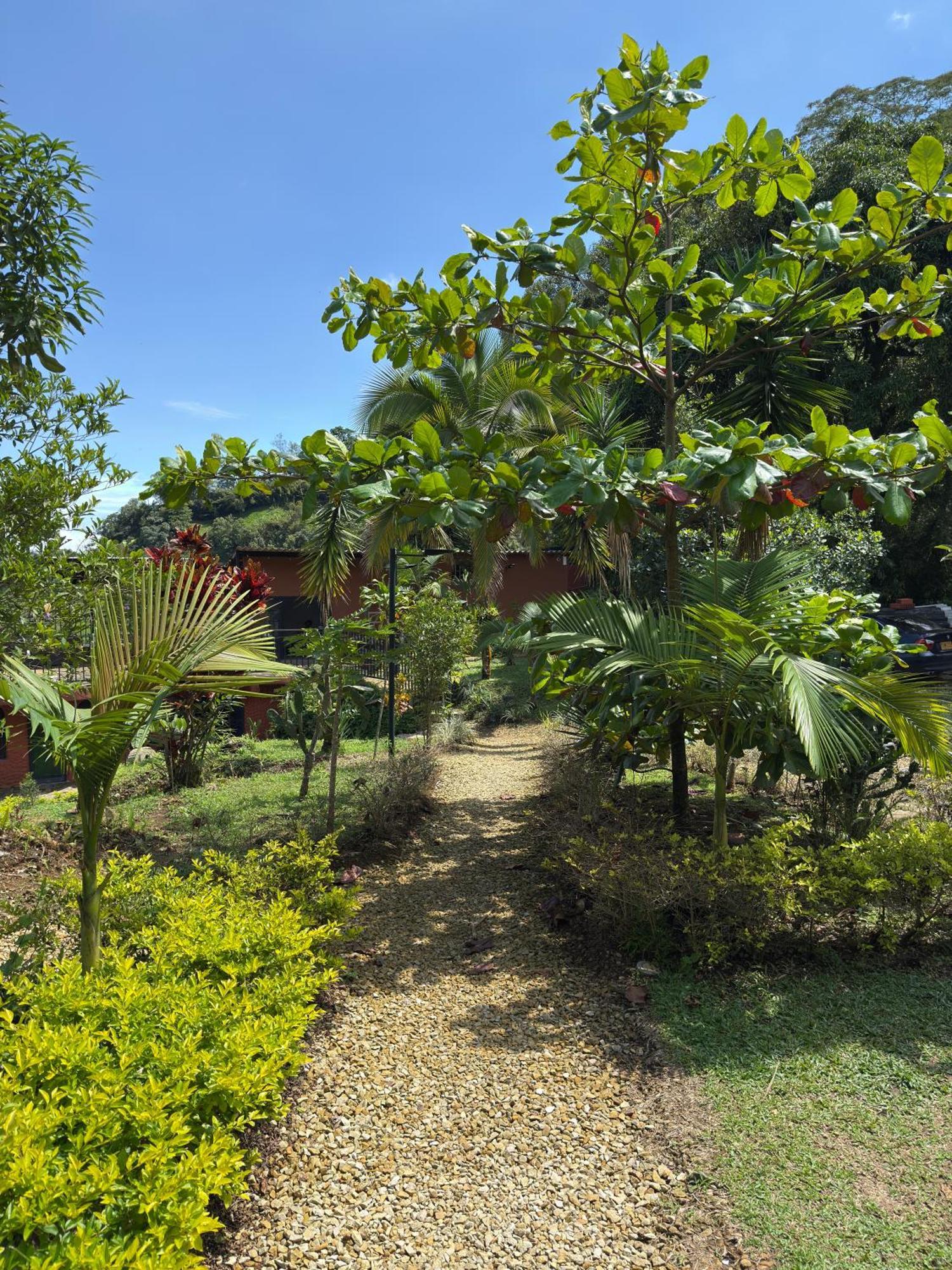 Jaragual Hostel "Eco Hostal" La Vega  Exterior foto